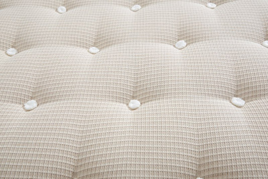 June Luxe-Adapt Soft